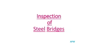 Inspection  of  Steel Bridges