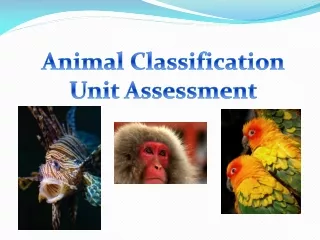 Animal Classification Unit Assessment