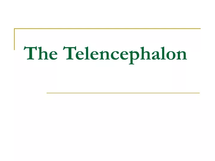 the telencephalon