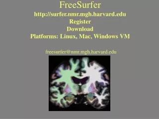 FreeSurfer surfer.nmr.mgh.harvard Register Download Platforms: Linux, Mac, Windows VM
