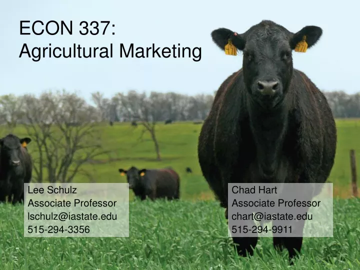 econ 337 agricultural marketing