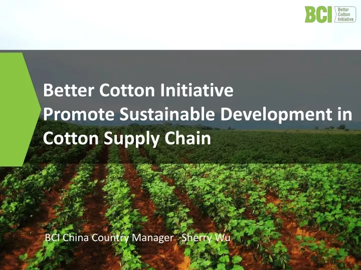 better cotton initiative promote sustainable