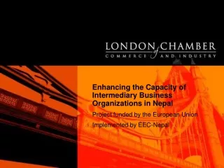 Enhancing the Capacity of Intermediary Business Organizations in Nepal