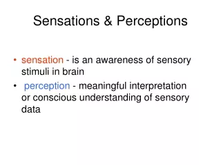 Sensations &amp; Perceptions