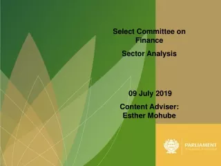Select Committee on Finance  Sector Analysis   09 July 2019 Content Adviser: Esther Mohube