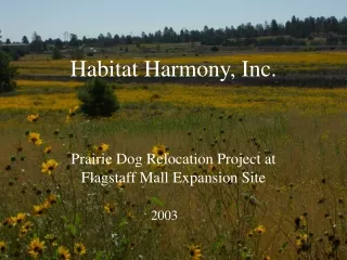 Habitat Harmony, Inc.