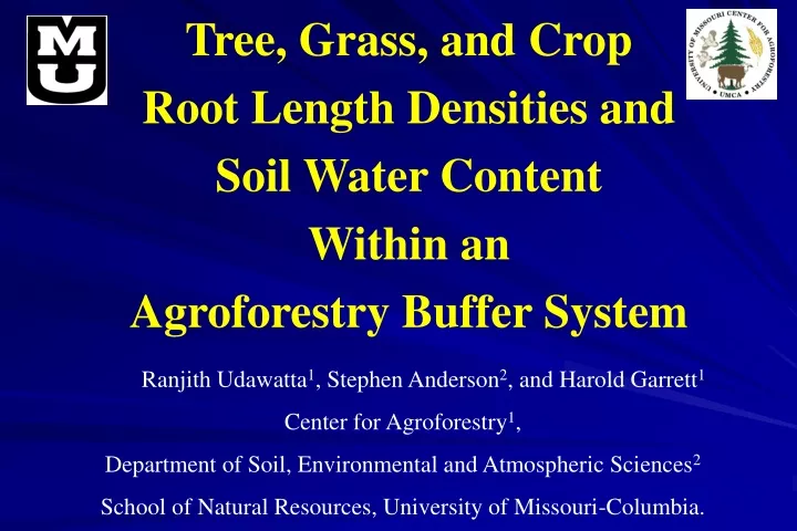 tree grass and crop root length densities