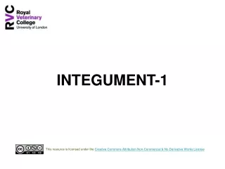 INTEGUMENT-1