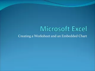 Microsoft Excel