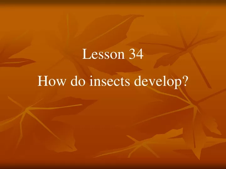 lesson 34 how do insects develop