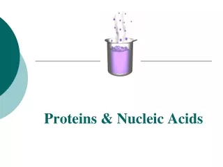 Proteins &amp; Nucleic Acids