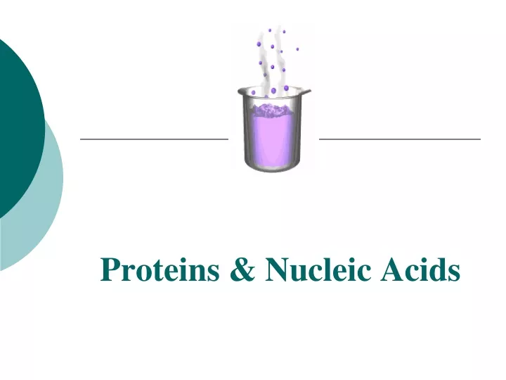 proteins nucleic acids
