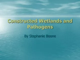 Constructed Wetlands and Pathogens