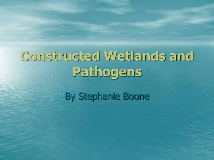 constructed wetlands and pathogens