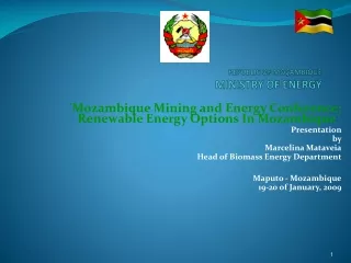 REPUBLIC OF MOÇAMBIQUE MINISTRY OF ENERGY