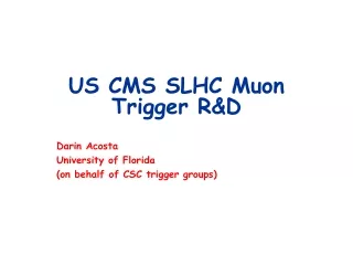 US CMS SLHC Muon Trigger R&amp;D