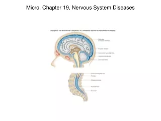 Micro. Chapter 19, Nervous System Diseases