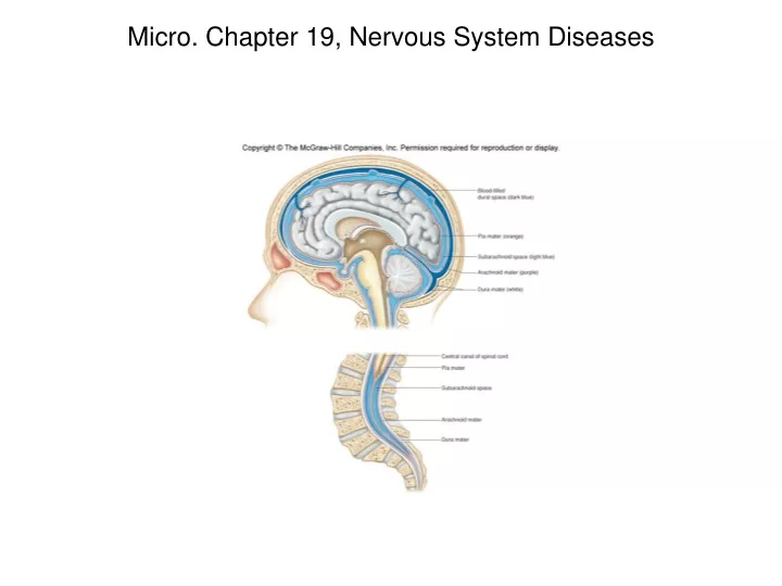 micro chapter 19 nervous system diseases