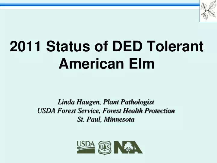 2011 status of ded tolerant american elm