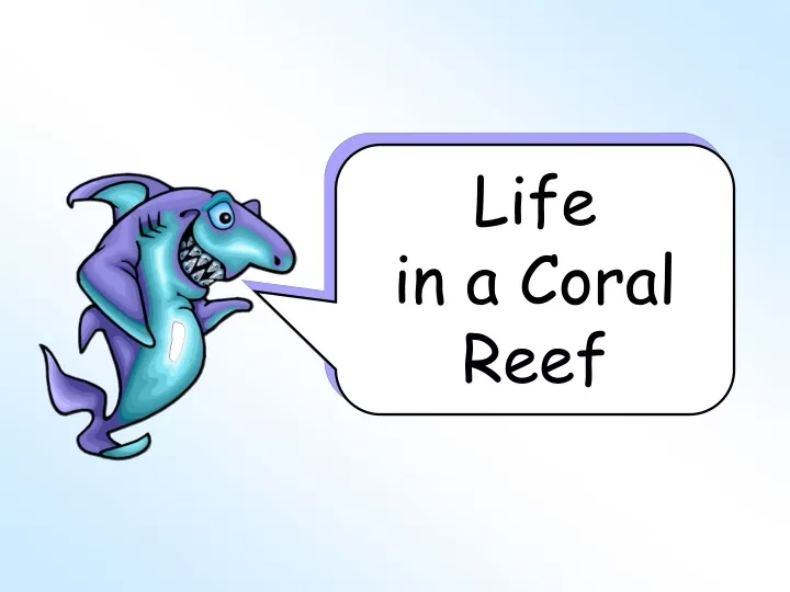 life in a coral reef