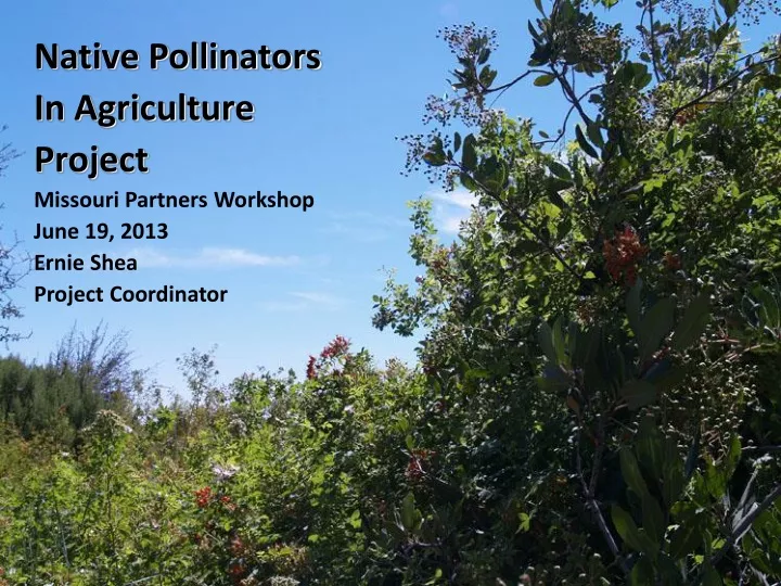 native pollinators in agriculture project