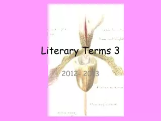 Literary Terms 3