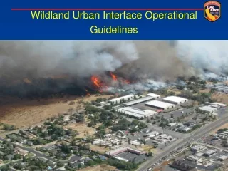 Wildland Urban Interface Operational Guidelines