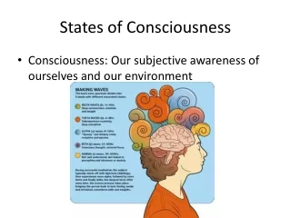 States of Consciousness