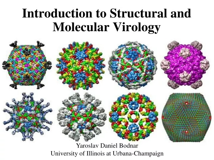 introduction to structural and molecular virology
