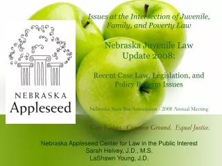 Nebraska Appleseed Center for Law in the Public Interest Sarah Helvey, J.D., M.S.