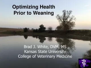 Brad J. White, DVM, MS Kansas State University  College of Veterinary Medicine