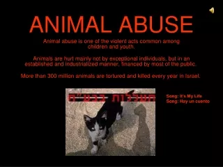 ANIMAL ABUSE