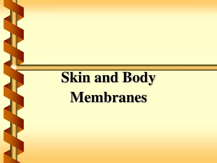 skin and body membranes