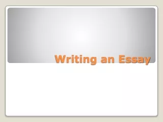 Writing an Essay