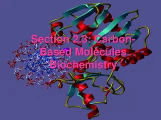 Section 2.3: Carbon-Based Molecules Biochemistry