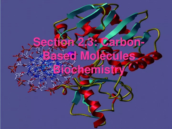 section 2 3 carbon based molecules biochemistry