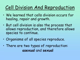 Cell Division And Reproduction