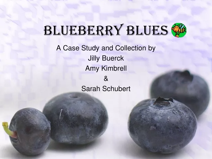 blueberry blues