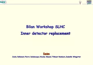 Bilan Workshop SLHC  Inner detector replacement