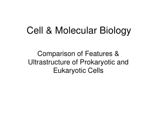 Cell &amp; Molecular Biology