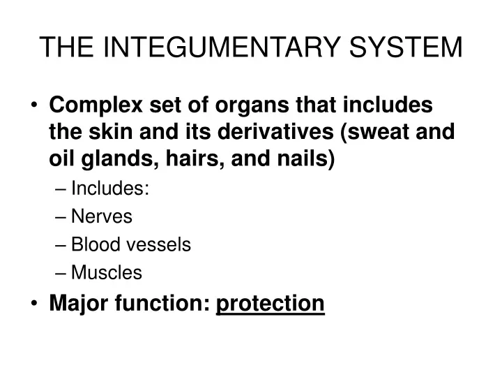 the integumentary system