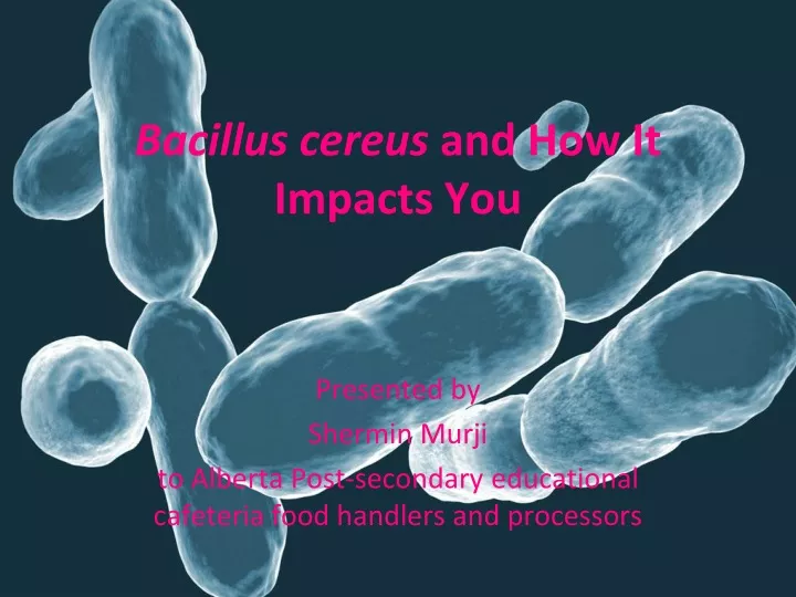 bacillus cereus and how it impacts you