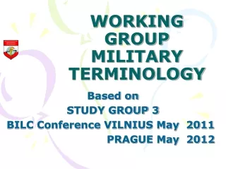 WORKING GROUP MILITARY TERMINOLOGY