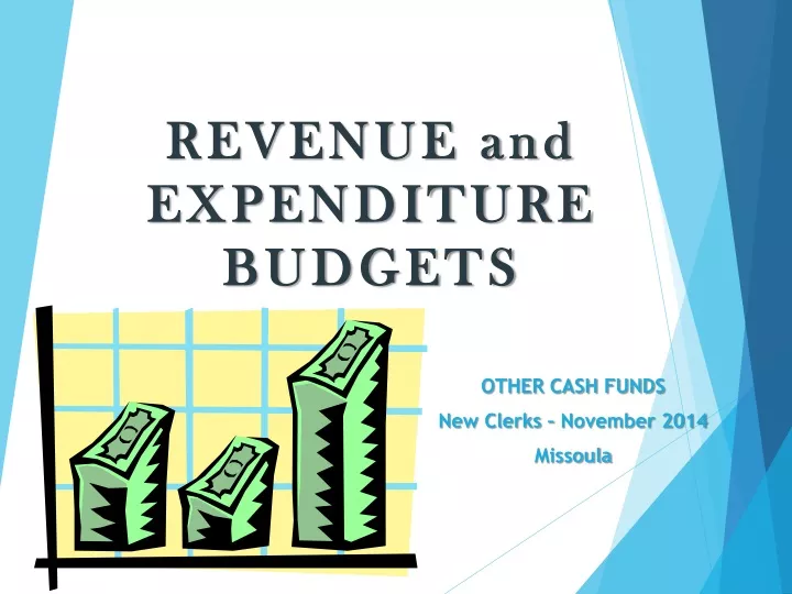 revenue and expenditure budgets