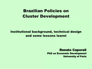 Brazilian Policies on  Cluster Development Institutional background, technical design