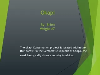 Okapi By:  Brinn  Wright #7