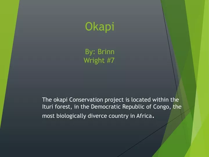 okapi by brinn wright 7