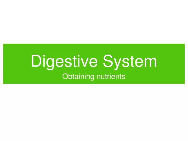 digestive system