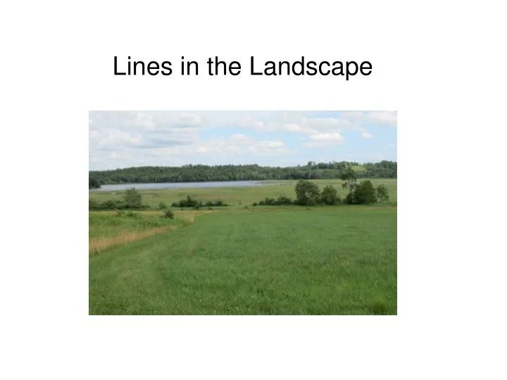 lines in the landscape