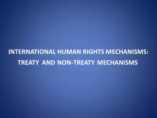 INTERNATIONAL HUMAN RIGHTS MECHANISMS: